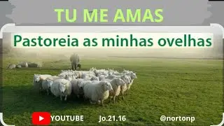 Tu me Amas? Pastorea as Minhas Ovehas