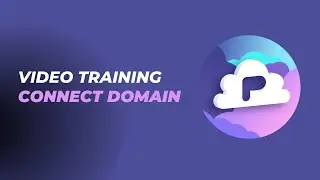 How to Connect Your Domain to PromptROI