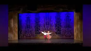 Dmytro Zvonov Slavic dance