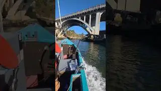 #Depoebay #lingcod #fish #commercialfishing #doryboats
