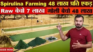 48 lakh per Acre | Spirulina Farming | Medicine Farming | Protein Farming | Seaweed farming | #earn