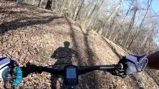 Bayou Point & Coldwater Trails 021917
