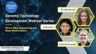 Direct RNA Sequencing and Base Modifications