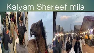 Pakistan's biggest camel fail@Tourandcooking
