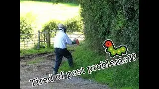 Wausau Bat Removal Services