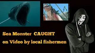Sea Monster  CAUGHT on Video by local fishermen ?