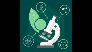 Dr Bobby Price on what's quickening your aging. toxicity, chemicals.#health #healing #healthylife