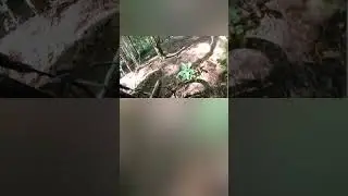 Wharncliffe mtb trail