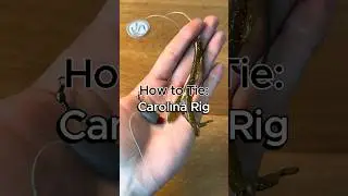 Как завязать оснастку Carolina Rig #рыбалка #как #советыпорыбалке #методырыболовства #ловлябаса #...
