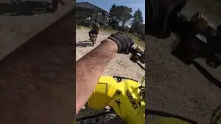 LTR450 | Chill Out 🤟