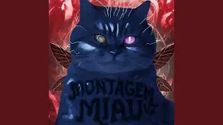 Montagem Miau V2 (Slowed Down)