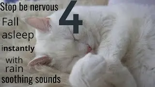Rain music 4for sleep #@happyseacat#instantsleep#Ukraine#saveukrainenow#sleep#sleeprain#stopstress
