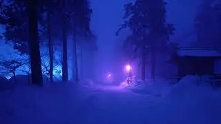 A Quiet Place to Stay