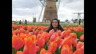 Anniyan song 🌷 poomaari| Tulip Garden Japan| LivewithmeinJapan #shorts