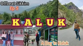 Offbeat Sikkim || Okhrey to Kaluk😍|| Sikkim Tour || Pine village Retreat &  Kaluk Village ❤️   Ep 5
