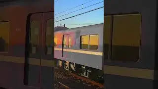 【ウソ電】 青い京急1437F+1707F #ウソ電 #1000形 #1500形 #shorts