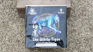 The White Tiger by Skysong Fireworks 500g
