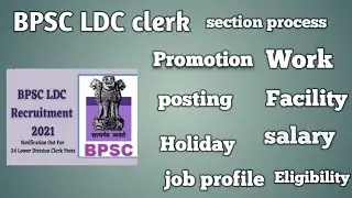 Bihar BPSC LDC clerk Requirement , job profile promotion work facility posting holiday salary