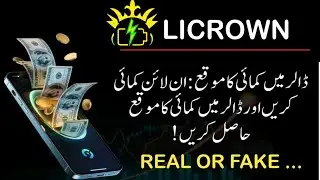 Обзор приложения для заработка Licrwon | Настоящее или подделка? Подробности