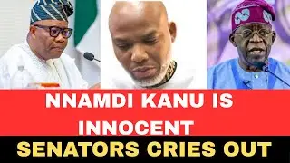 Nnamdi Kanu is innocent:: Nigerian Senators c.r.y Out (SHOCKING)