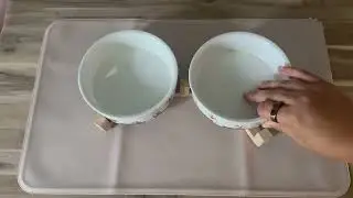 Dog Bowls with Wood Stand Review &mdash; Tested, Explained, and Rated! W8381