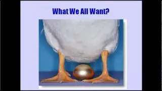 Turnkey Niche Websites