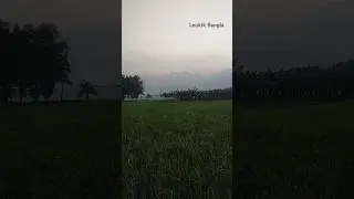 Healing Twilight! #nature #bdtravel #vlog #explore #কুড়িগ্রাম #shorts #বাংলাদেশ @loukikbangla71