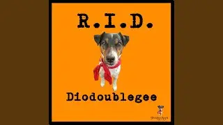 Diodoublegee
