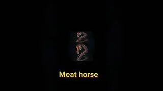 long horse sound vs meat horse sound