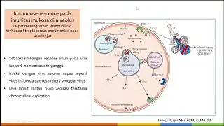 S1 S1 01 Immunosenescene and risk of infection
