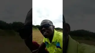 First Class betrayal
