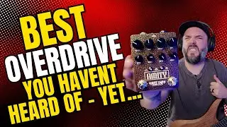 Is this the best DUAL overdrive you HAVEN'T heard of? | Fuzz Imp Amity Dual Overdrive Review