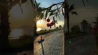 flute #music #song #tseries #love #anime #tending #viral #funk #phonkmusic #phonkmusic #phonk