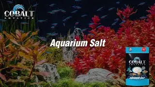 Cobalt Aquatics Aquarium Salt