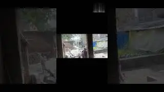 #Holi Masti #short# short video #Archana Patel real vlogs 63 #
