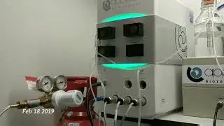 1 Second Everyday over 45 day SalmoSim run
