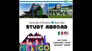 Focus Asia: South Korea, Japan, Vietnam, and other great destinations!