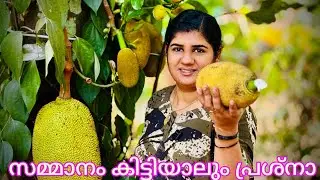 ഇല്ലാഴ്മഅഭിനയിച്ചും അമിത വിനയം കാട്ടിയും ശീലമില്ല 🥰😍🙏🙏 അതാണോ ഞാൻ ചെയ്ത തെറ്റ്😔😔