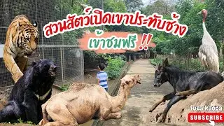 เข้าชมฟรี‼️ สวนสัตว์เปิดเขาประทับช้าง จ.ราชบุรี  | เสือเข้าป่า