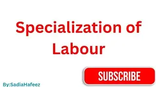 Economics ||Division of Labour||  specialization of Labour|| by prof: Sadia Hafeez