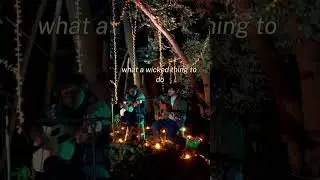 Wicked Game (Acoustic cover) - bnp   #music #acousticcover #acousticguitar #nature