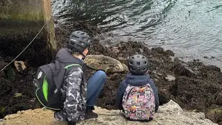 🛑 LIVE - Walk & Chat | Life With The Platts | South Devon Vibes 🌊☀️ 
