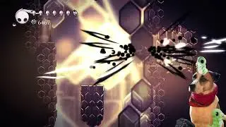 My Sister's Dog Plays Hollow Knight - Chill Vibe / ASMR - 100 Best Bee Hives To Fall Asleep To