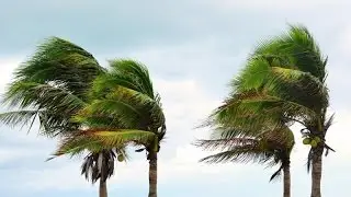 Geography  Made Easy !!--------Types of planetary winds