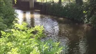 Holybrook and Kennet