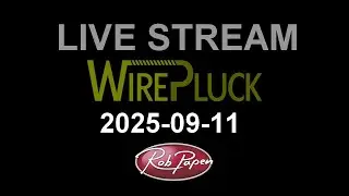Rob Papen | Вебинар 11 сентября 2025 г.   WirePluck. Создание пресетов