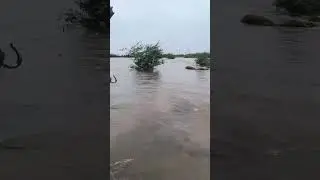 #kolleru #andhrapradesh #floods #cyclone