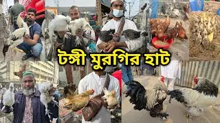 Tongi chicken hat | বাচ্চা সহ দেশি মুরগি | দেশি মুরগিতে ভরপুর | ফেন্সি মুরগি |ফেন্সি মুরগির দাম ২০২৬