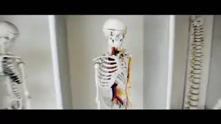 SEENA INSTITUTE OF MEDICAL SCIENCES SWABI | Introductory Video