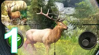 Hunting Clash Hunter World Gameplay Walkthrough Part 1 (IOS/Android)